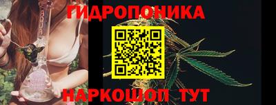 дживик Кинель