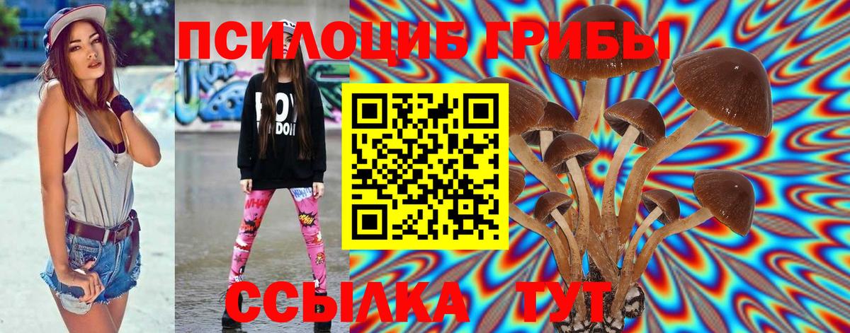 Псилоцибиновые грибы MAGIC MUSHROOMS  Псилоцибиновые грибы GOLDEN TEACHER  Вход с VPN  Узловая 